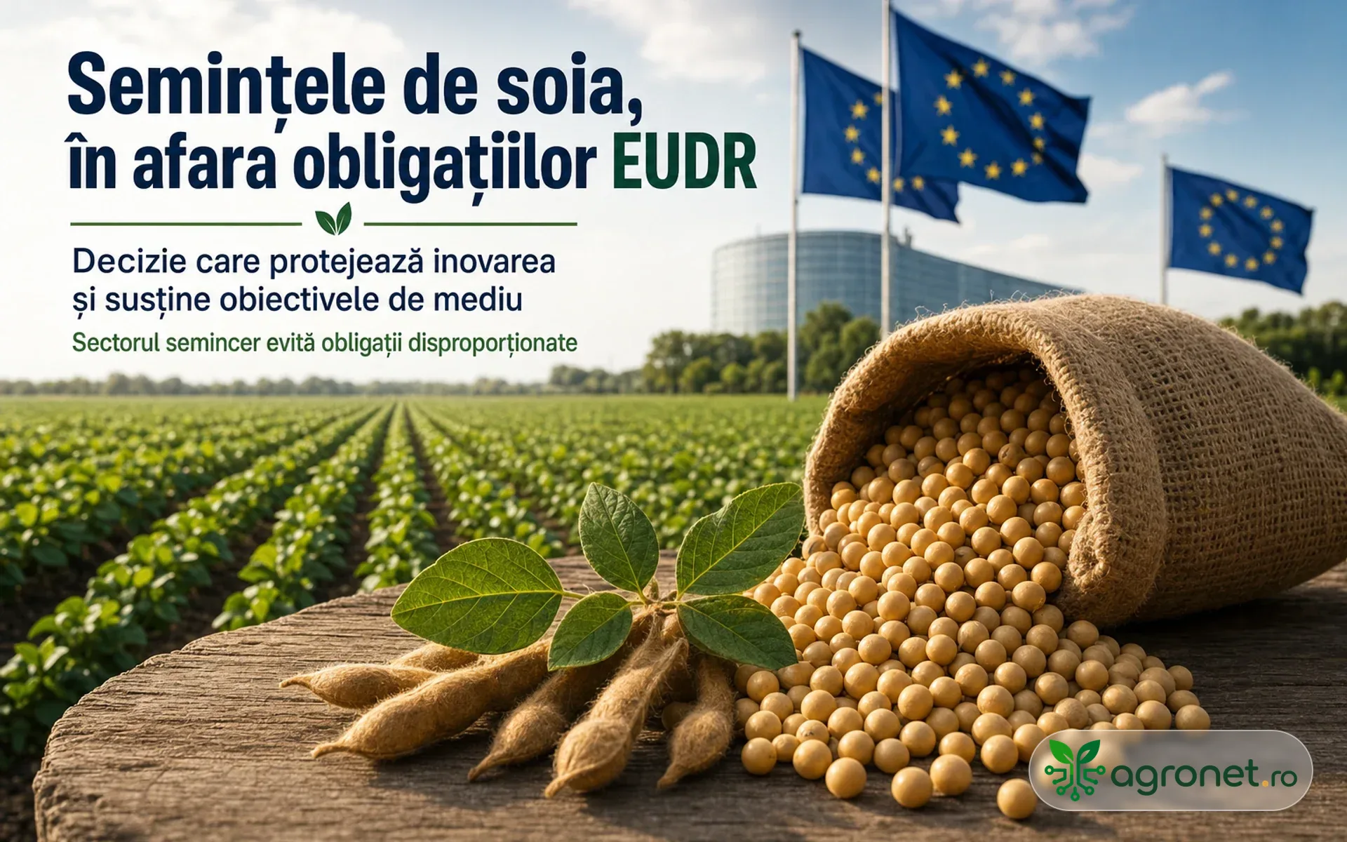 Semințele de soia ies de sub obligațiile EUDR – Euroseeds spune că măsura protejează inovarea fără a slăbi obiectivele de mediu