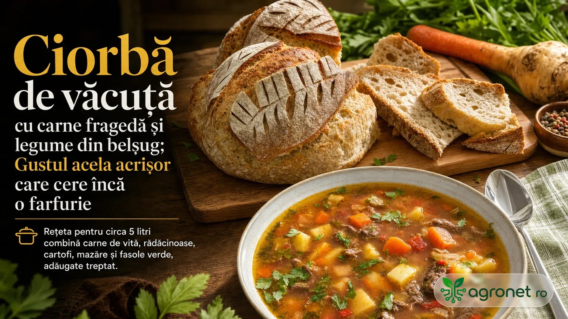 Ciorbă de văcuță cu carne fragedă și legume din belșug; Gustul acela acrișor care cere încă o farfurie